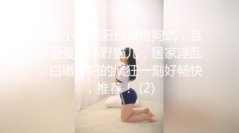 甜美气质美女，大白天家里操逼，衬衣包臀裙，骑上来插穴，扭来扭去，抬腿抽插，骑乘位打桩