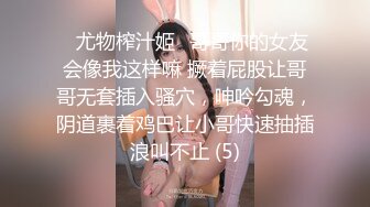 大奶老婆第一二季