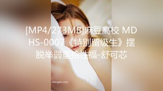 ✿性感女仆✿ 盲盒惊喜之主人的专属猫咪▌宸荨樱桃▌