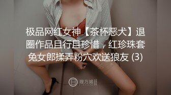 极品网红女神【茶杯恶犬】退圈作品且行且珍惜，红珍珠套兔女郎揉弄粉穴欢送狼友 (3)