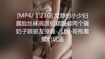 [MP4/ 1.21G] 文静的小少妇露脸丝袜高跟短裙漏着两个骚奶子跟狼友撩骚，让小哥抱着揉奶玩逼