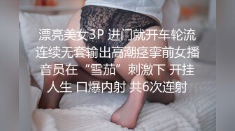 极品！柠檬少女第二季，