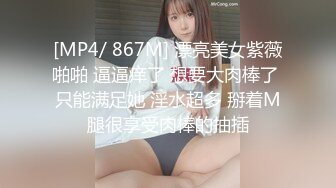 PS-035雨天搭讪岛国骚女