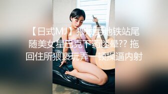 河南网友