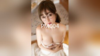 PM004