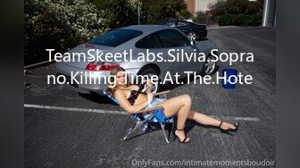 TeamSkeetLabs.Silvia.Soprano.Killing.Time.At.The.Hotel