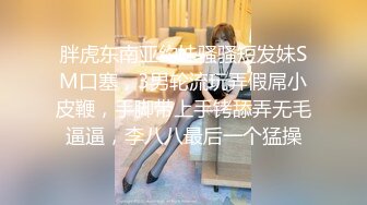 [2DF2] 夫妻过性生活貌似媳妇已经怀孕先用手抚摸阴部脱掉内裤再舔侧位交配 -[MP4/32.4MB][BT种子]