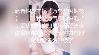 商场女厕全景偷拍 破洞牛仔少妇的极品小黑鲍