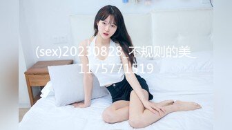 GS-376(h_101gs00376)[GOS]ハメをはずした人妻たち。04