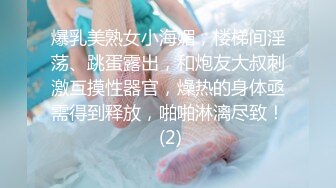 STP32784 麻豆传媒 FLIXKO MFK0019 精明女公关