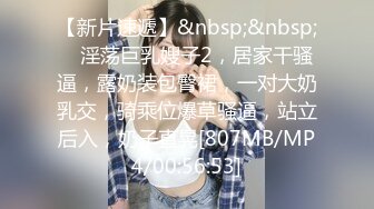 麻豆传媒 mxb-002 主人的新年礼物 性爱女仆骚妲己