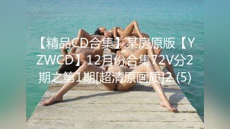 【精品CD合集】某房原版【YZWCD】12月份合集72V分2期之第1期[超清原画质]2 (5)