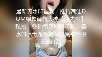 [MP4]知名Twitter户外露出网红FSS冯珊珊挑战主人的新任务---全裸自束握住陌生人的鸡巴 冲进WC吓坏幸运的小哥哥