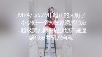 [MP4/ 337M] 推特大神鲨鲨玩弄各种极品爆乳骚人妻 高颜值反差婊春情荡漾认真舔鸡巴太骚了 艳福不浅