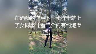 无套后入肥臀大骚逼、