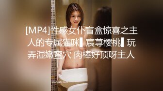 肉感少妇第二段