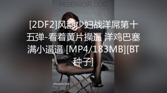 [2DF2]风韵少妇战洋屌第十五弹-看着黄片操逼 洋鸡巴塞满小逼逼 [MP4/183MB][BT种子]