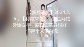 【精品推荐】Transexjapan中国TS『masem小乐』岛国拍摄系列超清原版14部合集 (10)