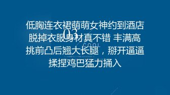 高跟丝袜露脸微SM,小骚逼的情趣性生活三个洞都可以玩