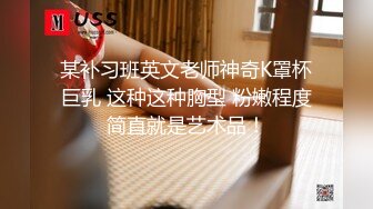 MD-0336爆乳候选人政见发表会