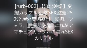 [rurb-002] 【流出映像】変態カップル 公然SEX盗撮 250分 屋外変態露出、愛撫、フェラ、腰振り交尾…これがアマチュアカップルの隠れSEXのリアル