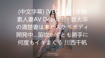 (中文字幕) [VEO-048] 本物素人妻AV Debut！！音大卒の清楚妻は未だスケベボディ開発中…笛吹かずとも勝手に何度もイキまくる 川西千帆