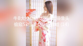 牛B大神商场女厕暗藏摄像头偷窥53位美女少妇嘘嘘 (14)