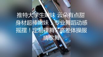 【沈樵系列】小姨子勾引警察姐夫