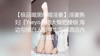 【极品媚黑绿帽淫妻】淫妻熟妇『Yseyo』奶大臀肥腰细 海边勾搭白人留学生带回酒店内射做爱 (3)