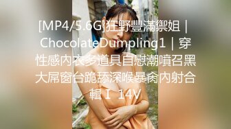 [MP4/5.6G]狂野豐滿禦姐｜ChocolateDumpling1｜穿性感內衣多道具自慰潮噴召黑大屌窗台跪舔深喉暴肏內射合輯Ⅰ 14V