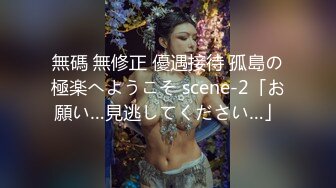 無碼 無修正 優遇接待 孤島の極楽へようこそ scene-2「お願い…見逃してください…」