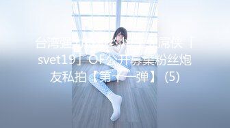 台湾强力桩机约炮王大屌侠「svet19」OF公开募集粉丝炮友私拍【第十一弹】 (5)