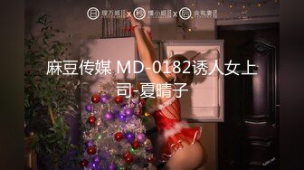 麻豆传媒 MD-0182诱人女上司-夏晴子