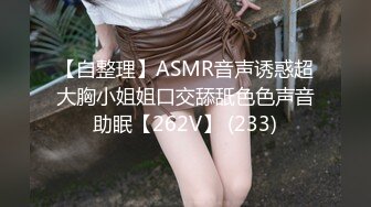 【自整理】ASMR音声诱惑超大胸小姐姐口交舔舐色色声音助眠【262V】 (233)