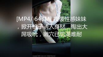 [HD/0.8G] 2024-07-03 PH-153痴汉援交高中制服的完全占有