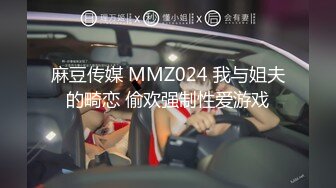 麻豆传媒 MMZ024 我与姐夫的畸恋 偷欢强制性爱游戏