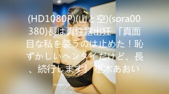 (HD1080P)(山と空)(sora00380)長は真性露出狂 「真面目な私を装うのは止めた！恥ずかしいヘンタイだけど、長、続行します」 枢木あおい